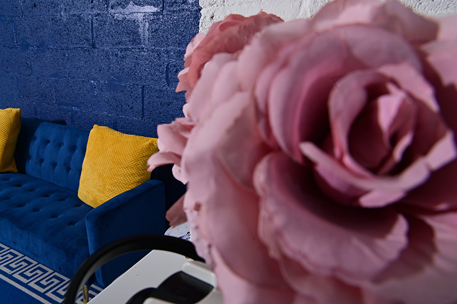 Trebon Photography Studio Leicester